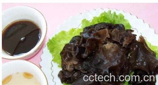 果蔬百科孕妇不能吃的食物-0