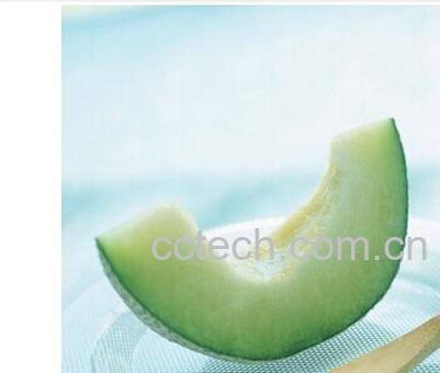 果蔬百科冬瓜皮泡水喝-0