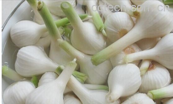 果蔬百科酱油腌咸蒜-0