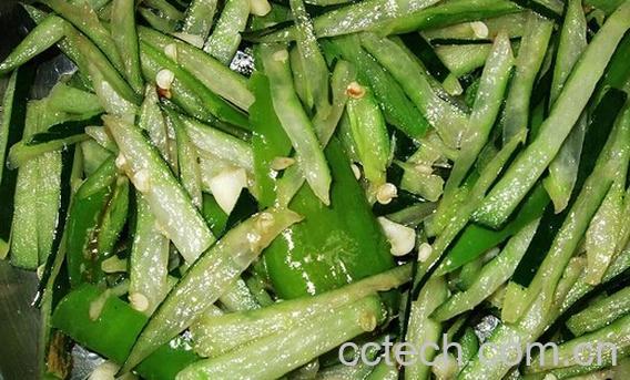 果蔬百科冬瓜皮-0