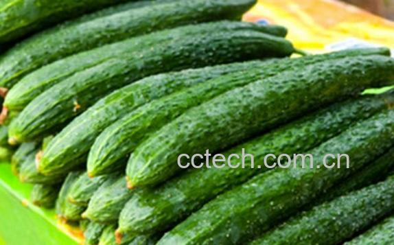 果蔬百科黄瓜怎么吃最有营养-0