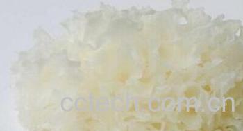 果蔬百科白木耳-0