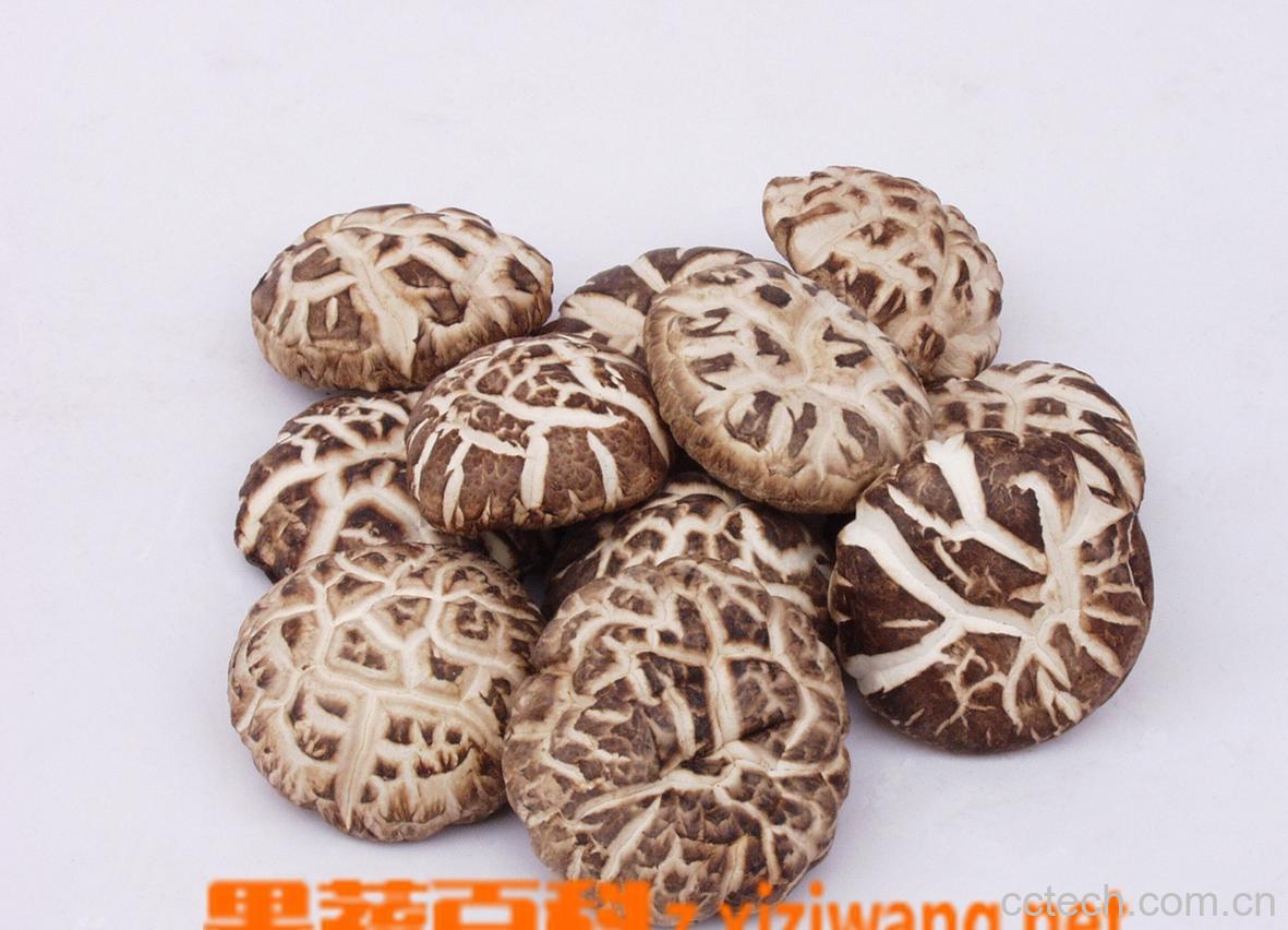 果蔬百科香菇不能和什么一起吃-0