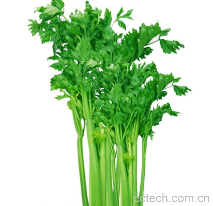 果蔬百科芹菜不能和什么一起吃-0