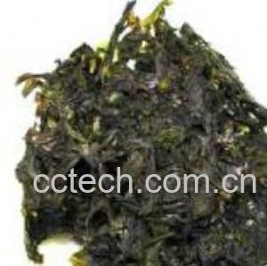 果蔬百科紫菜不能和什么一起吃-0