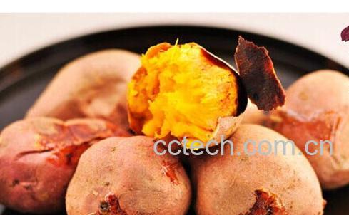 果蔬百科红薯-0