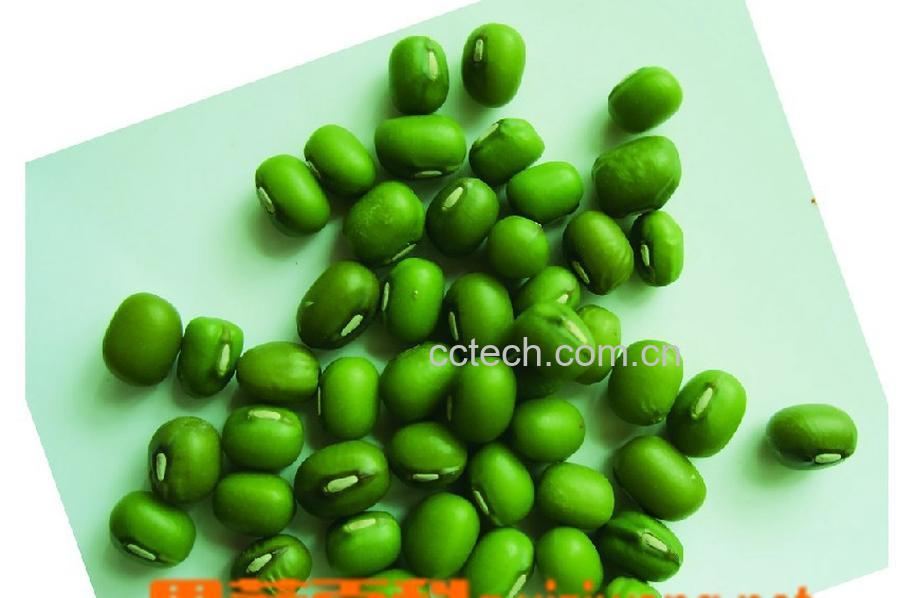 果蔬百科绿豆和黄瓜能一起吃-0