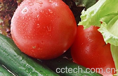 果蔬百科黄瓜番茄能一起吃吗-0