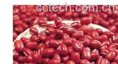 果蔬百科红豆-0