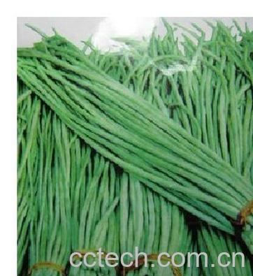 果蔬百科长豆角怎样做好吃-0