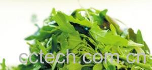 果蔬百科灰灰菜的营养价值和副作用 -0