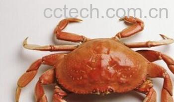 果蔬百科食物过敏-0