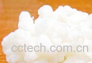 果蔬百科雪莲菌的功效与作用-0