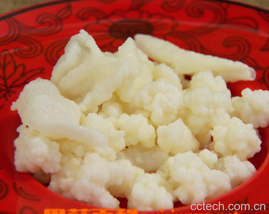 果蔬百科雪莲菌图片 雪莲菌的危害-0