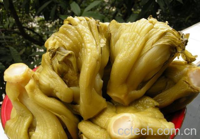 果蔬百科腌酸菜如何做 腌酸菜的做法-0