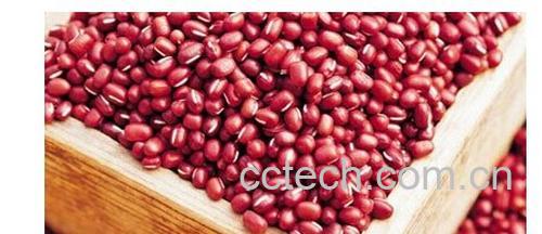 果蔬百科红豆-0