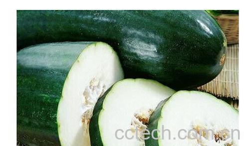 果蔬百科冬瓜-0