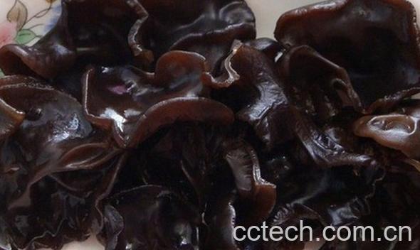 果蔬百科黑木耳-0