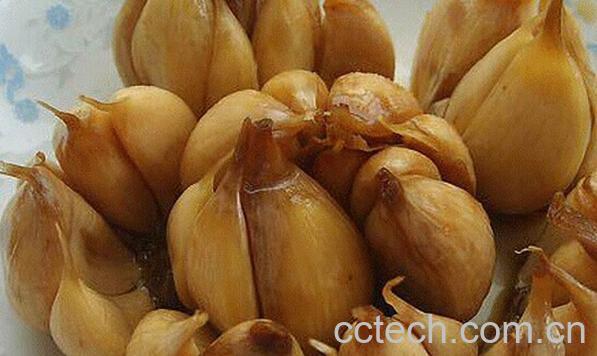 果蔬百科东北糖蒜-0