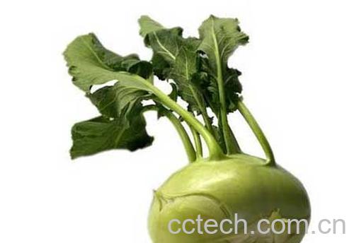 果蔬百科芥菜-0