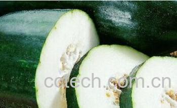 果蔬百科冬瓜-0