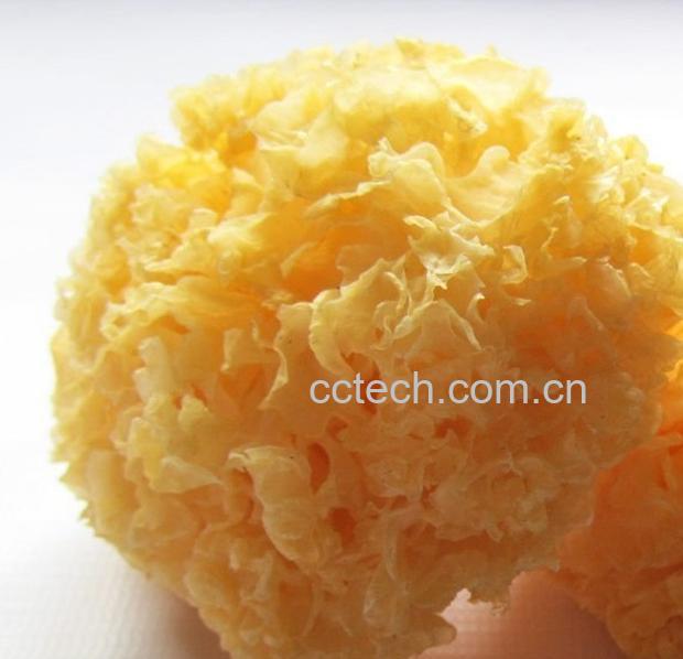 果蔬百科银耳-0