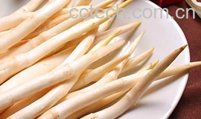 果蔬百科竹笋-0