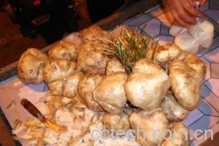 果蔬百科白地瓜的营养价值-0