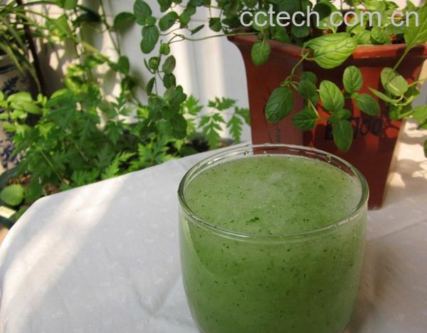 果蔬百科冬瓜汁-0