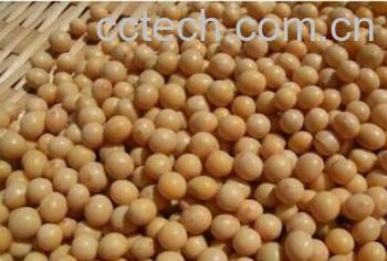 果蔬百科纳豆-0