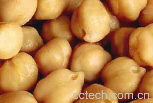 果蔬百科鹰嘴豆-0