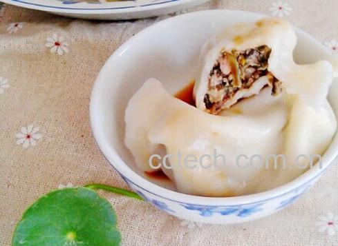 果蔬百科马齿苋-0