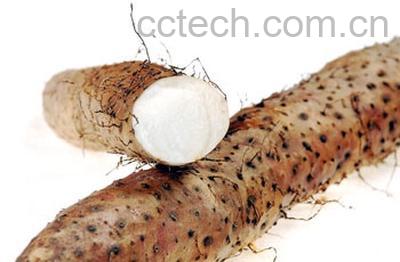 果蔬百科山药-0