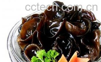 果蔬百科黑木耳-0