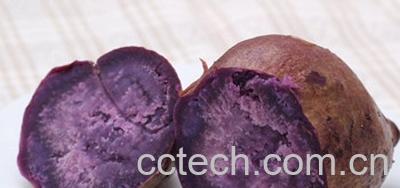 果蔬百科紫薯-0