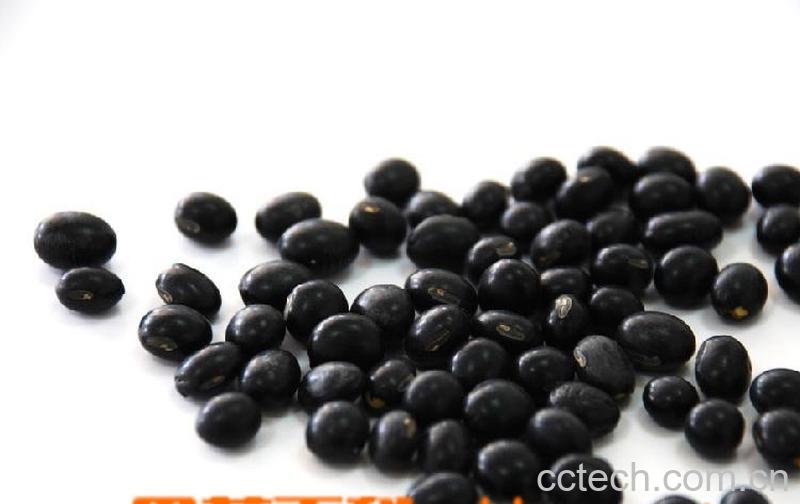 果蔬百科黑豆怎么吃最营养 黑豆吃法-0