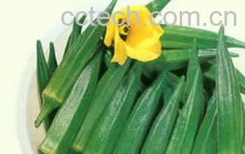 果蔬百科黄秋葵怎么吃 黄秋葵的做法-0