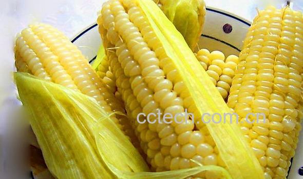 果蔬百科鲜玉米怎么保存-0