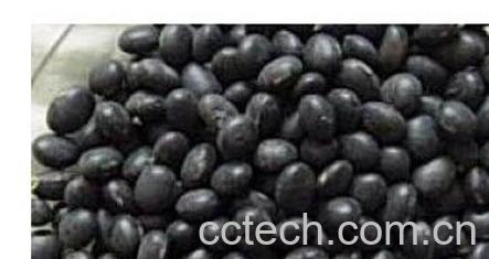 果蔬百科黑豆-0