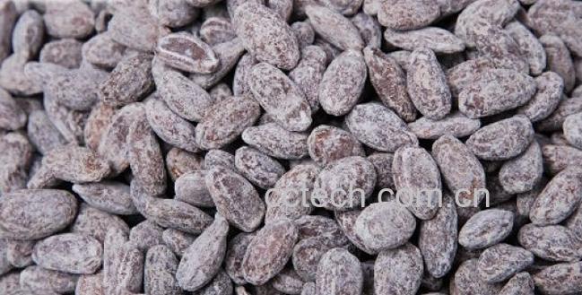 果蔬百科吊瓜子-0