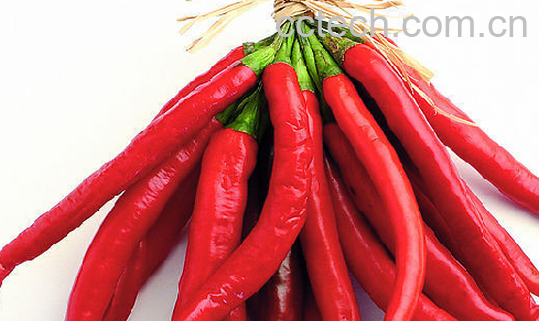果蔬百科青椒-0