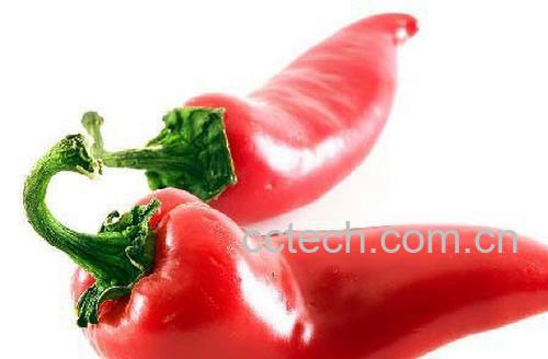 果蔬百科红辣椒-0