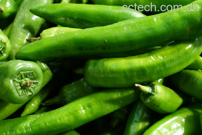 果蔬百科辣椒-0