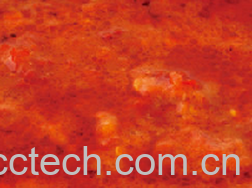 果蔬百科辣椒酱-0