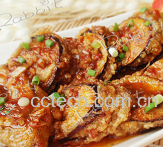 果蔬百科茄饼-0