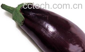 果蔬百科茄子-0