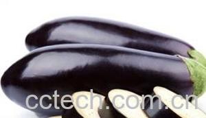 果蔬百科茄子-0