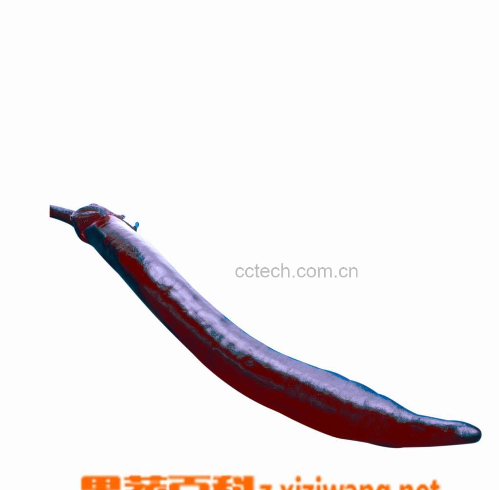 果蔬百科茄子-0