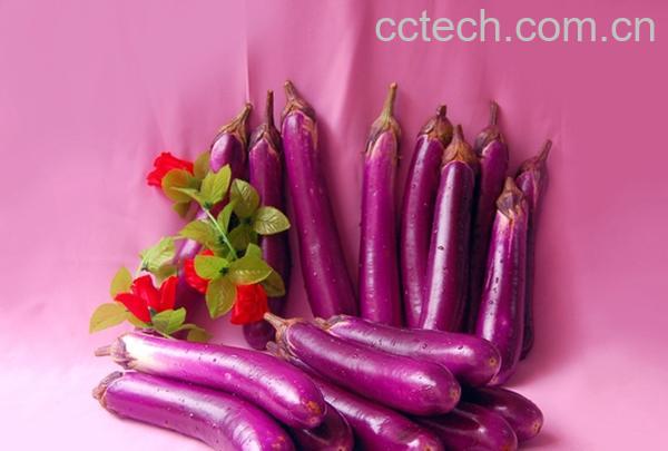 果蔬百科茄子-0