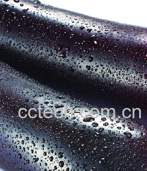 果蔬百科茄子-0